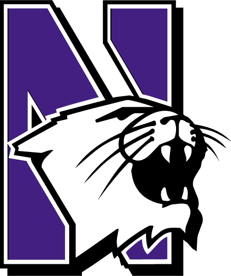 Northwestern Wildcats 1981-Pres Primary Logo diy fabric transfer
